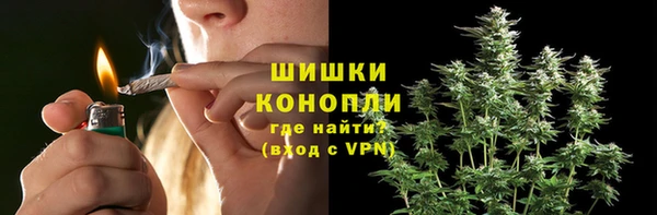 стаф Балахна