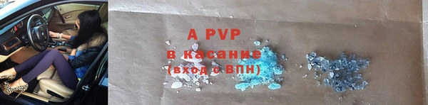 стаф Балахна