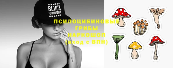 стаф Балахна