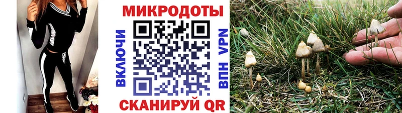 маркетплейс телеграм  Городище  Галлюциногенные грибы MAGIC MUSHROOMS 
