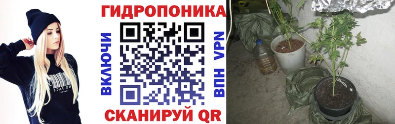 купить наркотики цена Городище Конопля THC 21%