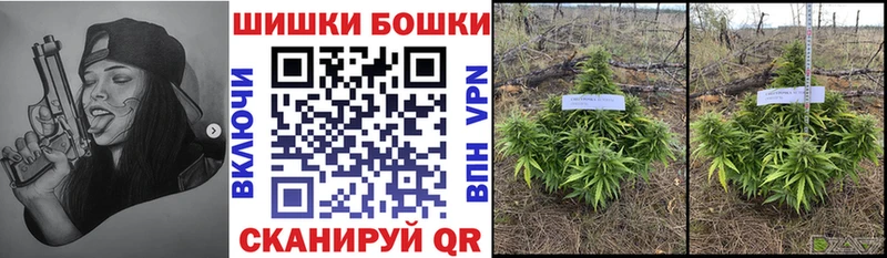 Шишки марихуана тримм Городище